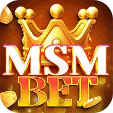 MSM BET App logo
